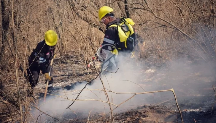 Siete Provincias Contin An Con Focos Activos De Incendios Forestales