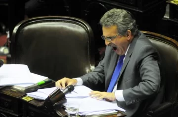 El aval para el Túnel avanzó en Diputados