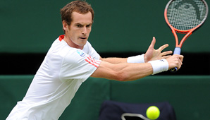 Murray a la final con Federer