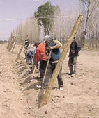 El Premio a la Excelencia Agropecuaria, busca EAS