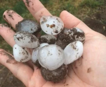 Una tormenta de granizo azotó gran parte de Mendoza