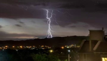 Impactante momento en el que un rayo fulmina un árbol