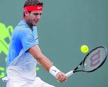 Del Potro sufrió y cayó con Zeballos