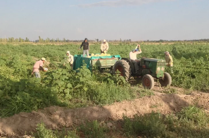 Hay nuevos créditos blandos  del CFI para la producción