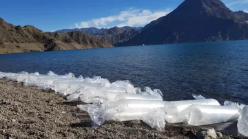 La primera siembra en el dique Punta Negra incluyó a 3 mil pejerreyes