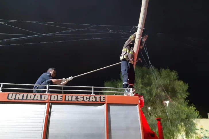 Por un camión, cayó un poste en una plaza donde jugaban los niños del barrio