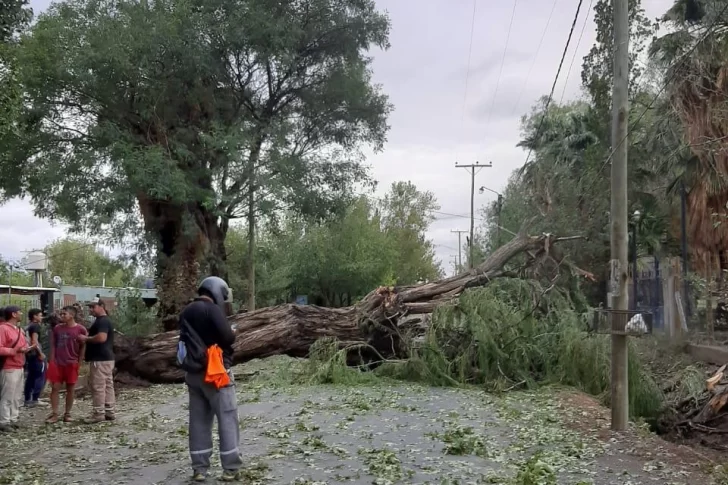 Asisten a familias de 5 departamentos tras la intensa tormenta de la madrugada