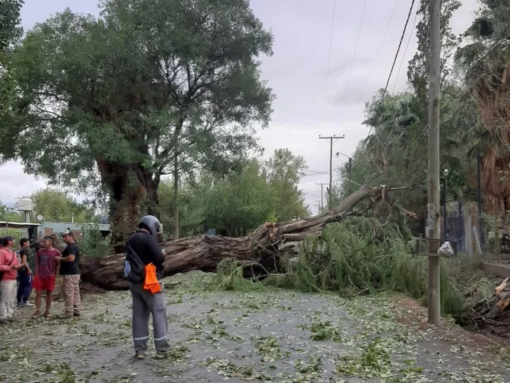 Asisten a familias de 5 departamentos tras la intensa tormenta de la madrugada