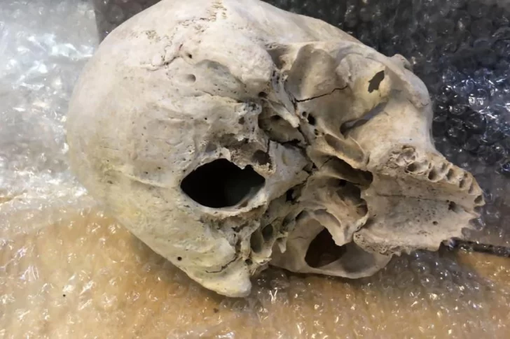 Hallaron una calavera en una encomienda postal