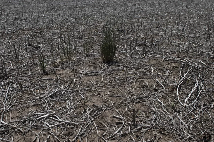 Fin de ‘La Niña’, el fenómeno que desató la sequía severa en el país