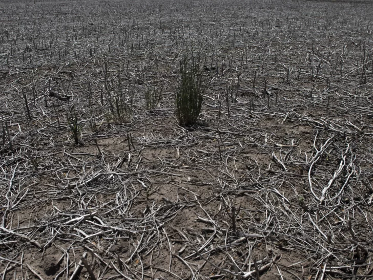 Fin de ‘La Niña’, el fenómeno que desató la sequía severa en el país