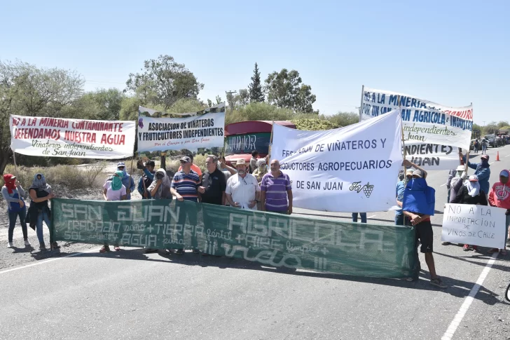 Protesta de los viñateros en 25 de Mayo por el bajo precio de la uva