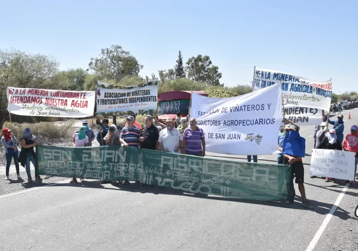 Protesta de los viñateros en 25 de Mayo por el bajo precio de la uva