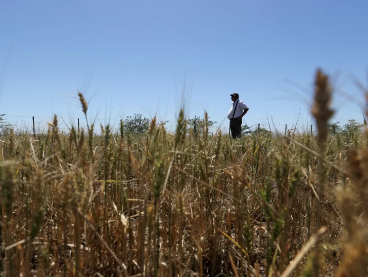 Lluvias intensas no solucionan la sequía porque matan al suelo