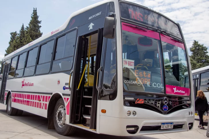 Colectivos gratuitos para llegar a la FNS: conocé todos los recorridos