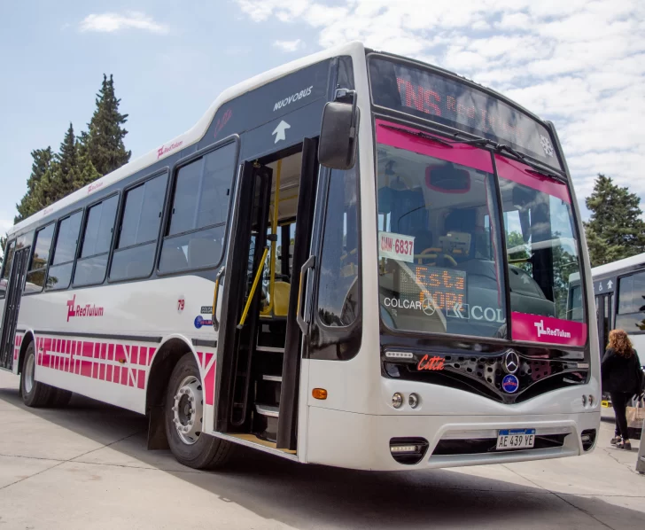 Colectivos gratuitos para llegar a la FNS: conocé todos los recorridos