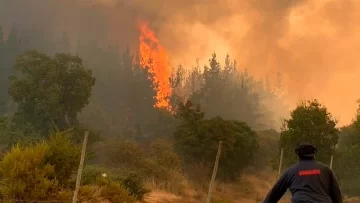 Salud respiratoria: aumenta la preocupación por los incendios forestales en todo el país