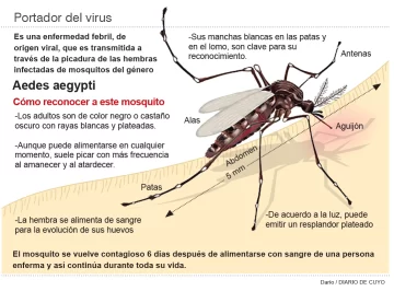 Refuerzan los consejos para prevenir el dengue en vacaciones