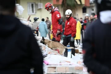 Terremoto en Turquía: confirmaron que no hay víctimas argentinas