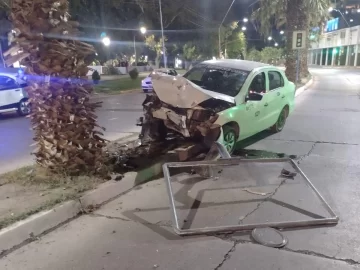 Un remisero se quedó dormido e impactó contra un cartel y una palmera en un boulevard