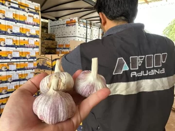 AFIP evitó la exportación fraudulenta de 75 toneladas de ajo en Mendoza y Misiones