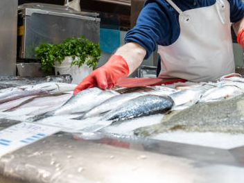 En la previa de Semana Santa, los requisitos para la venta y el consumo de pescado