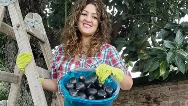 Una candidata salteña vende paltas para solventar su campaña