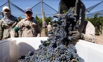 Aprobaron financiamiento del BID por US$40 millones para productores vitivinícolas