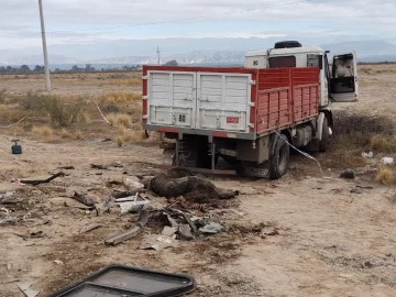 Amante de los caballos, quiso esquivar uno que se le cruzó en la calle, chocó y falleció