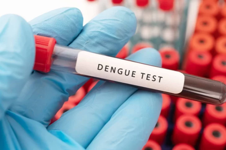 Vizzotti sobre el dengue: “Estamos en pleno brote”