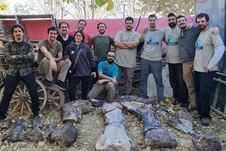 Descubrieron un dinosaurio herbívoro gigante en Río Negro