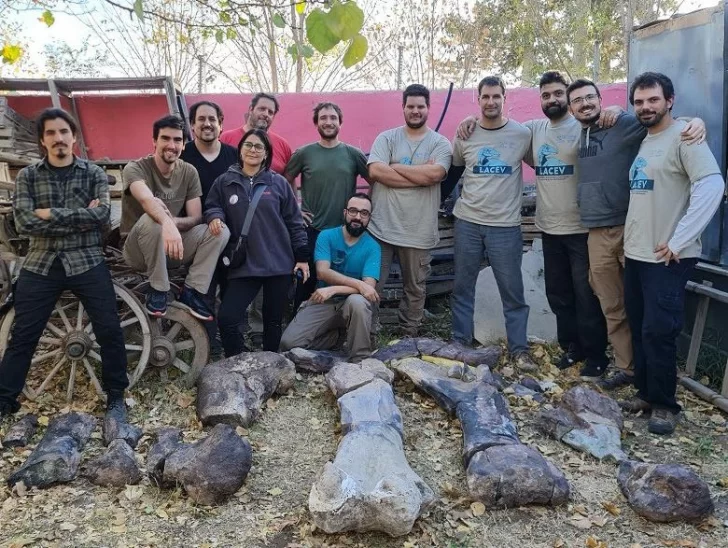 Descubrieron un dinosaurio herbívoro gigante en Río Negro