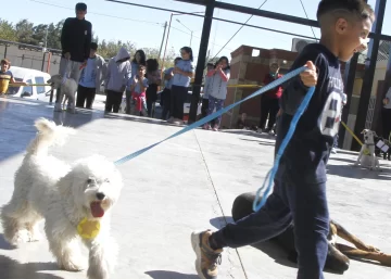 Hasta los callejeritos desfilaron en San Martín para festejar el Día del Animal