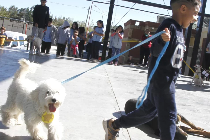 Hasta los callejeritos desfilaron en San Martín para festejar el Día del Animal