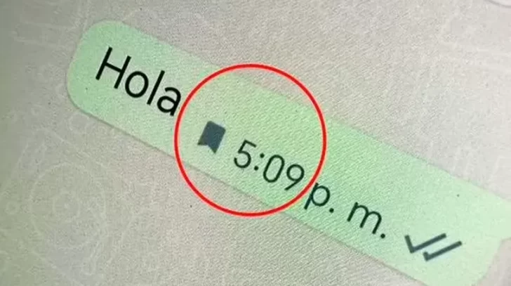 WhatsApp: qué significa el nuevo ícono de la bandera que aparece en los mensajes