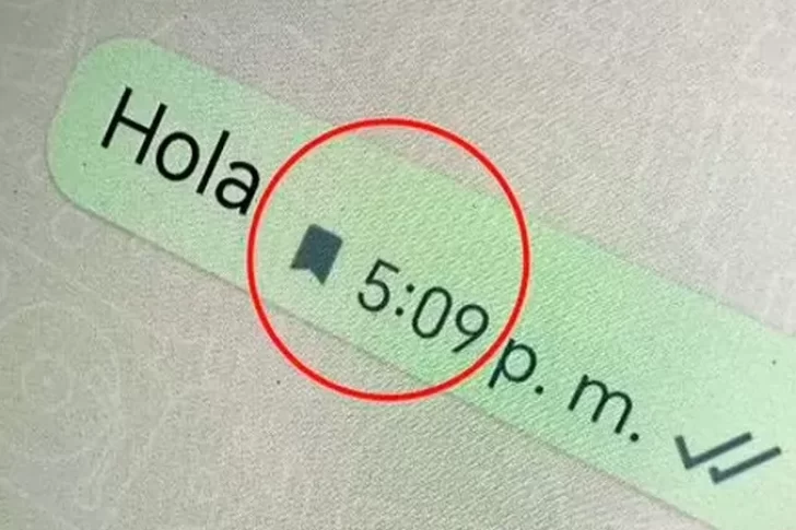 WhatsApp: qué significa el nuevo ícono de la bandera que aparece en los mensajes