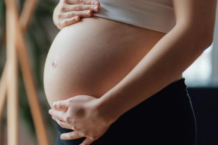 Toxoplasmosis en el embarazo: ¿qué hacer para evitar esta infección?