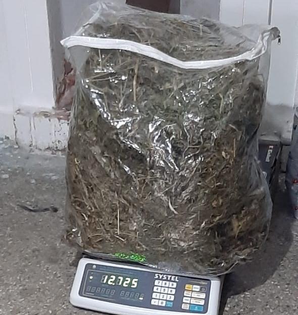 Allanan por un robo y encuentran gran cantidad de marihuana: un detenido