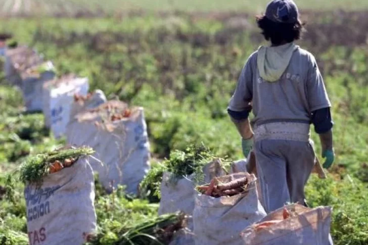 El trabajo infantil afecta a 1,3 millones de niños en Argentina