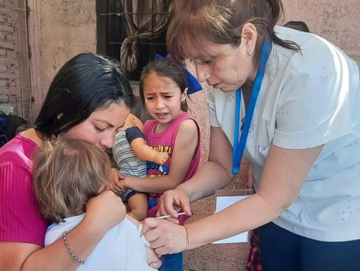 Por la presencia de la gripe A, crece la alarma y piden que la gente se vacune