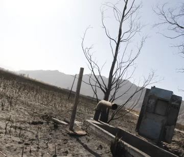 A un año del gran incendio, el Parque Sarmiento está funcionado al 100%