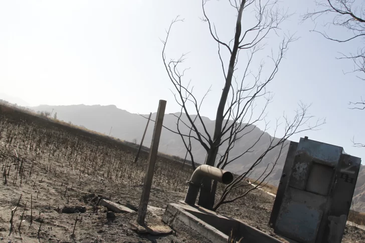 A un año del gran incendio, el Parque Sarmiento está funcionado al 100%