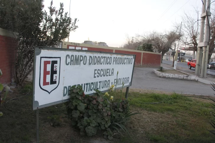 En la Escuela de Enología juntan dinero para recuperar los parrales