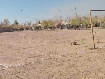 Crece el conflicto por una escuela de fútbol gratis que funciona en un baldío