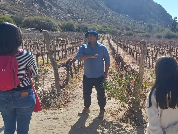 Cafayate se afirma como modelo enoturístico digno de replicar