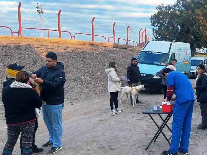 Perros: más denuncias de peligro, pero menos conciencia de tenencia