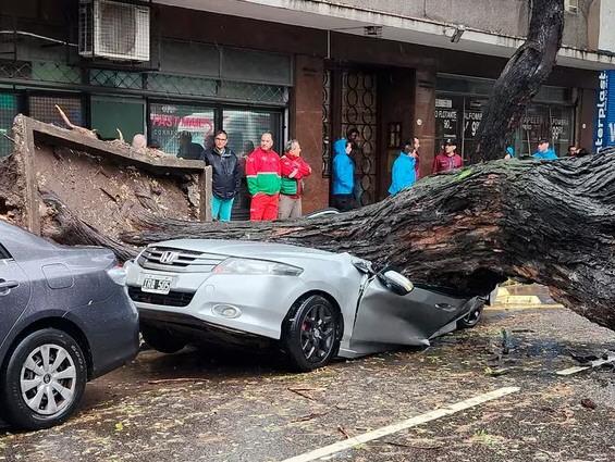 Las lluvias extremas del AMBA serían un primer aviso de El Niño