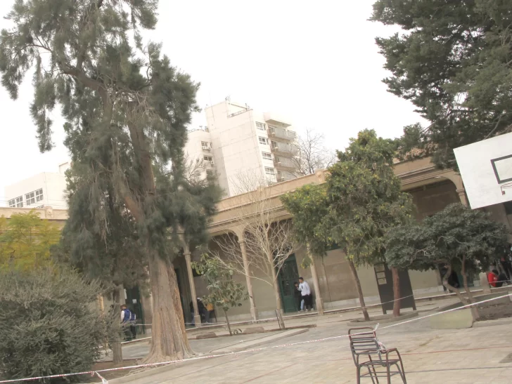 Docentes y padres, preocupados por un árbol del patio a punto de caerse