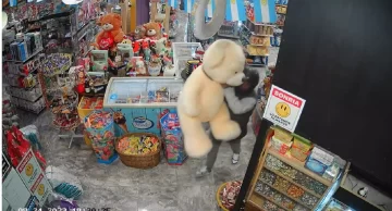 Insólito: entró a un kiosco y se robó un oso de peluche gigante