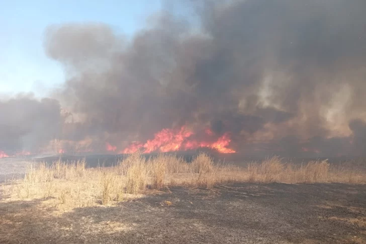 Tras 5 horas de trabajo, Bomberos controlaron un incendio y evitaron grandes daños